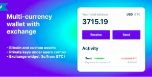 Bitcoin, Ethereum, ERC20 crypto wallets with exchange WordPress Plugin