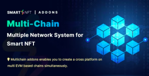 Smart NFT Multi Chain (Addons)